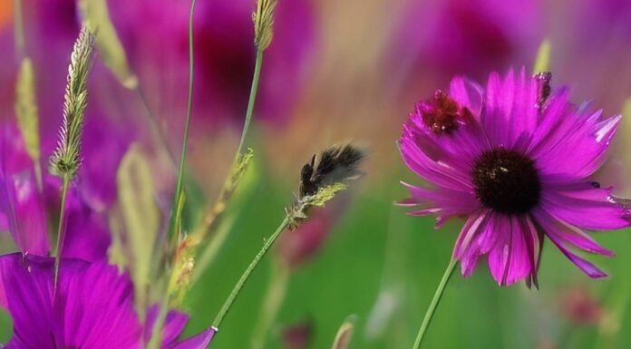 Un approccio basato sull’evidenza per apportare cambiamenti positivi