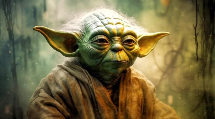 Saggezza senza tempo da un maestro Jedi