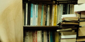 MAMMA NON URLARE: Recensione del libro sulla disciplina positiva