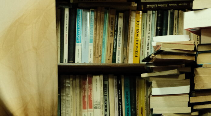 MAMMA NON URLARE: Recensione del libro sulla disciplina positiva