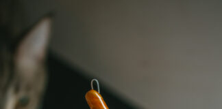 Recensione del libro Migliorare Se Stessi