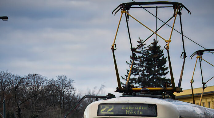 Recensione Psicologia delle Folle