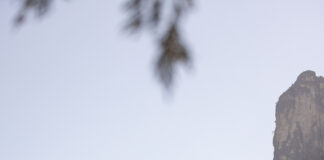 Recensione Tipi Psicologici Formato Kindle