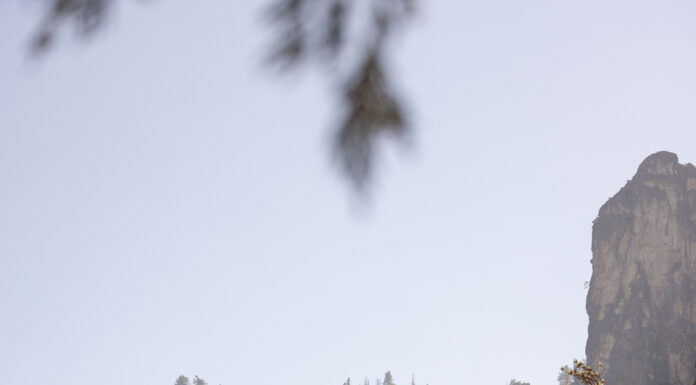 Recensione Tipi Psicologici Formato Kindle