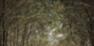 Corsi di Meditazione Review