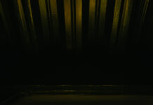 Corsi di Public Speaking Review