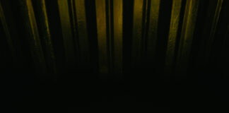 Corsi di Public Speaking Review