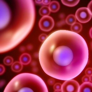 Il catalogo dei corsi di mental coaching: tutte le recensioni