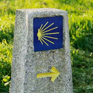 Il catalogo dei corsi di mental coaching: tutte le recensioni