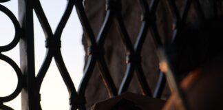 Quaderno appunti per la Migliore Psicologa del mondo: recensione