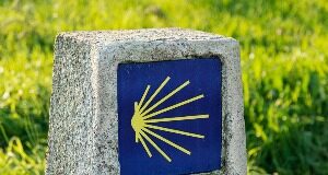 Recensione dei corsi di benessere mentale più consigliati