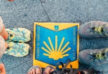 Recensione del corso di mental coaching