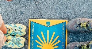 Recensione del corso di mental coaching