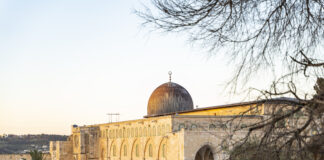 Recensione Il design per un mondo migliore