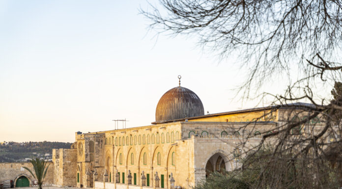 Recensione Il design per un mondo migliore