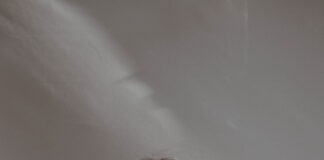 Recensione INTELLIGENZA EMOTIVA