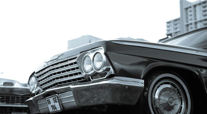 Recensione Psicologia dell’invecchiamento e della longevità