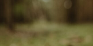 Recensione: Psicologia positiva