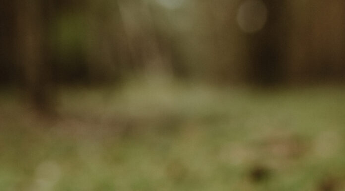 Recensione: Psicologia positiva