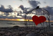 Quando è il momento giusto per cercare l’aiuto di uno psicologo per la dipendenza affettiva?