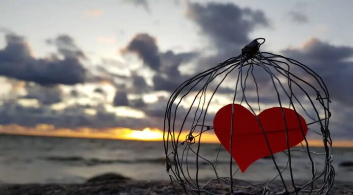 Quando è il momento giusto per cercare l’aiuto di uno psicologo per la dipendenza affettiva?